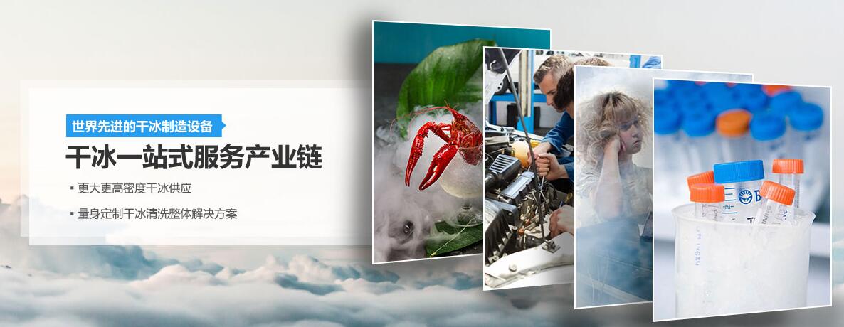 湖北舒星干冰